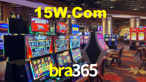 bra365 App Interface